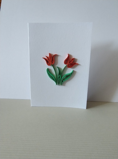 Tulipán