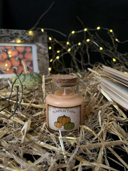 Svíčka Dýňová farma — foto 1
