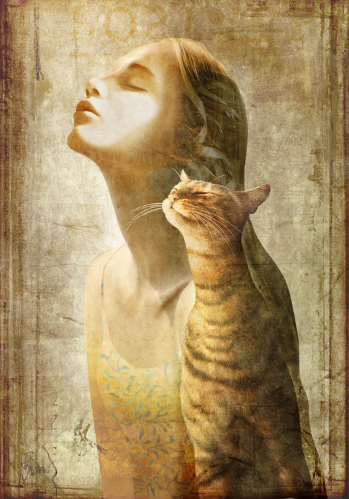 Sluneční (42x60)