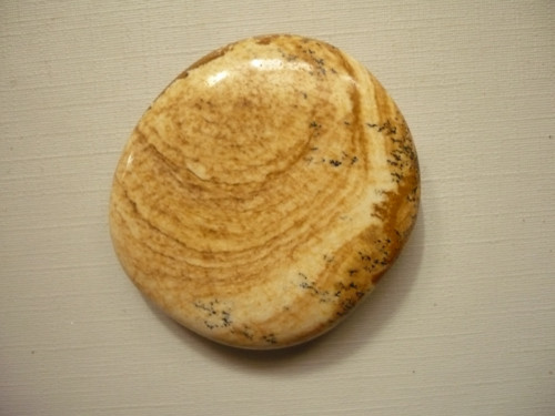 Placka - jaspis obrázkový 44 mm, č.832f