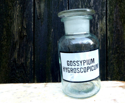 Gossypium Hydroscopicum...lékárenská lahev
