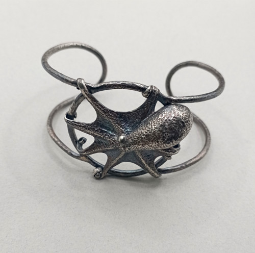 Octopus — foto 1