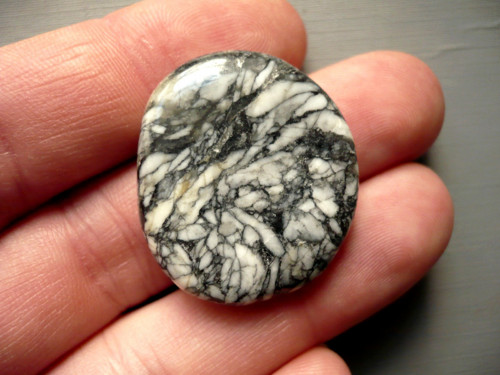 Placka - pinolit 31 mm, č.395f