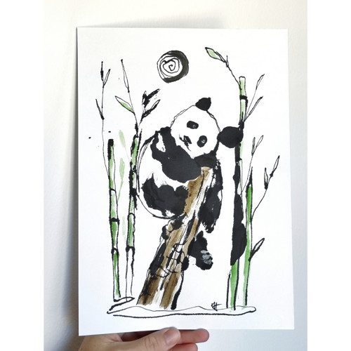 Panda