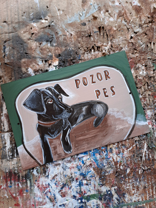 Pozor pes