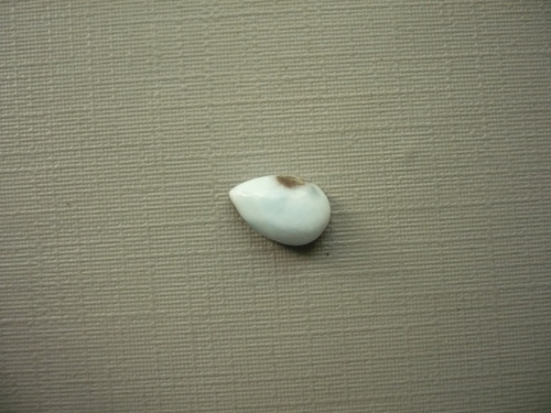 Kabošon - larimar 9 mm, č.60Cf — foto 1