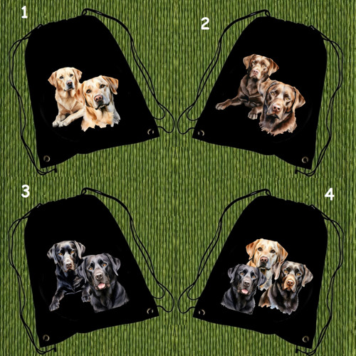 Labrador Vak Na Záda — foto 1