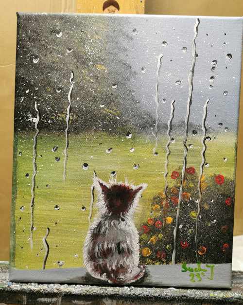 Déšť za okny — foto 1