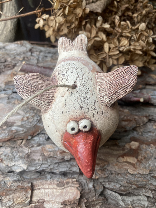 Pták s červeným zobákem — foto 1