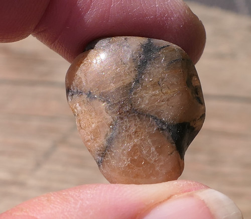 Chiastolit (22 mm) V442
