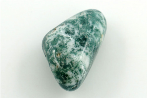 Achát dentritický 3,9 cm