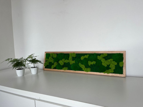 Mechový obraz 80x20cm