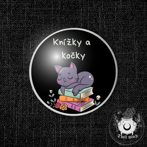Placka button špendlík Knížky a kočka