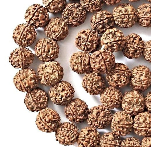Přírodní korálky rudraksha menší- 10 ks, SLEVA 30%