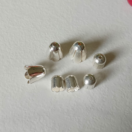 Kaplík - dva druhy — foto 1