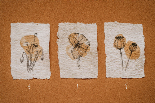 Rozkvět - makový A5 triptych (3 + 4 + 5)