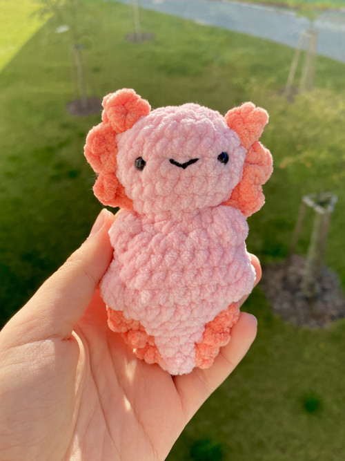 Axolotl — foto 1