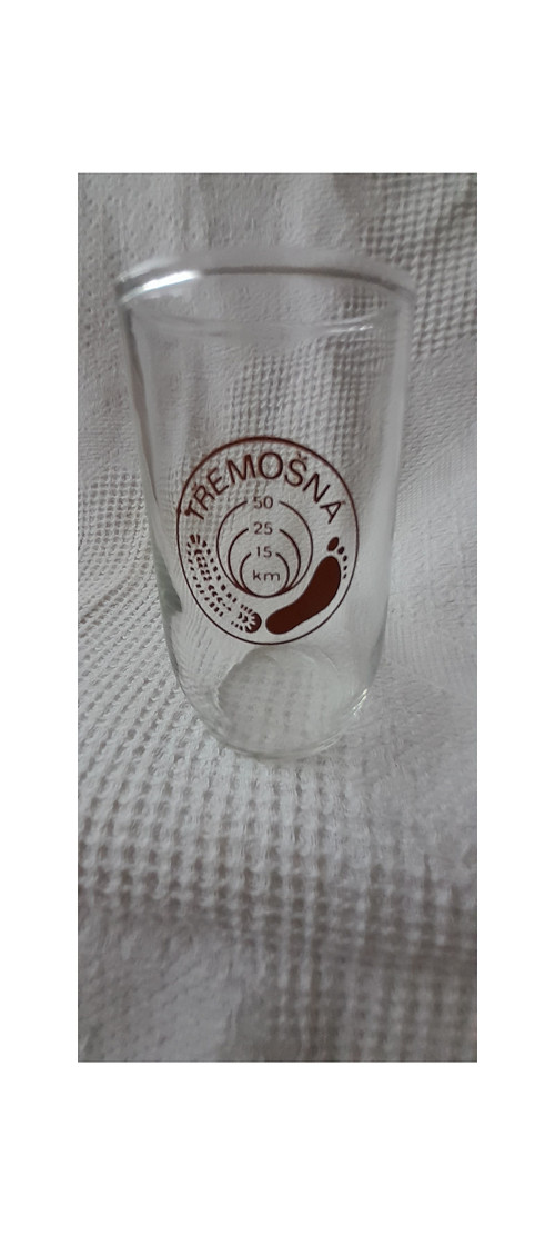 Třemošná