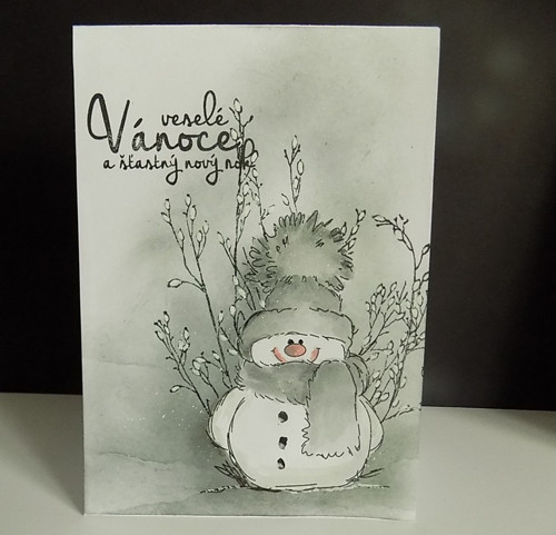 VÁNOČNÍ PŘÁNÍ — foto 1