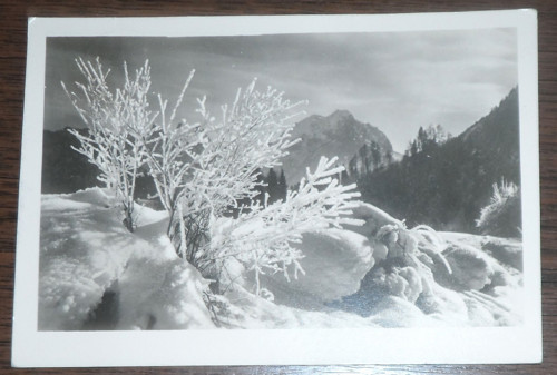 Vánoční ČB POHLEDNICE krajina, příroda, 1943
