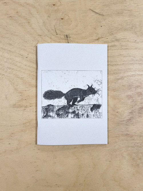 Sešit s ilustrací – Veverka