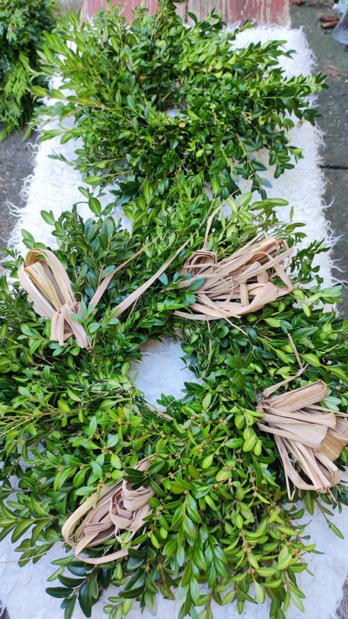 Věnec stálezelený buxus s Sušinou k ozdobení 30cm