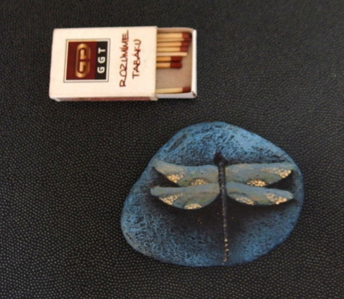 Dragonfly — foto 1