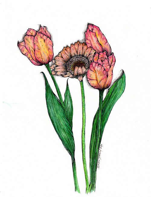 Gerbera S Tulipány