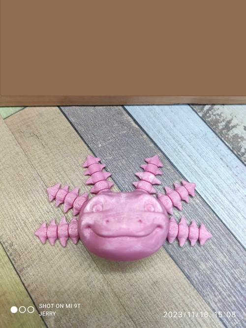 Axolotl hlava - hýbací - magnetka