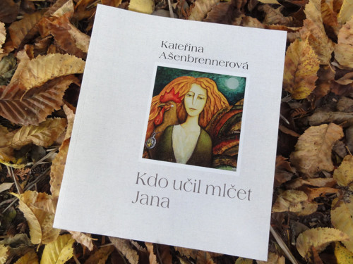 KATALOG K VÝSTAVĚ "Kdo učil mlčet Jana" — foto 1