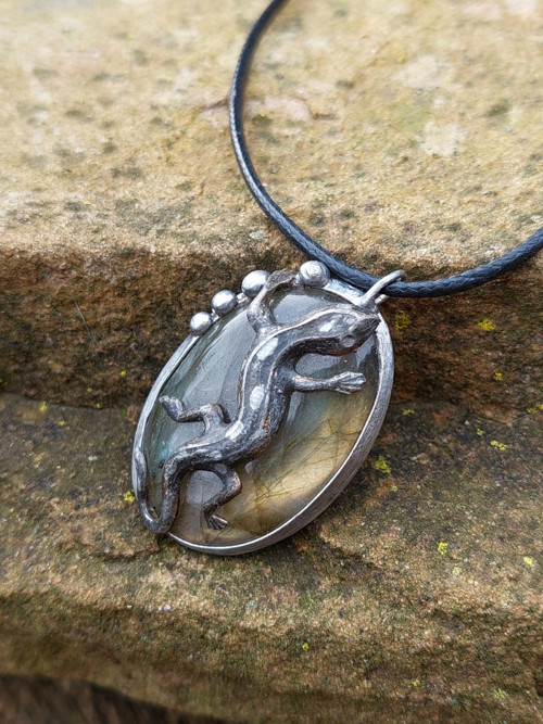 Salamandra — foto 1