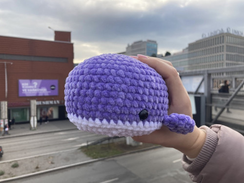 Háčkovaná velryba — foto 1