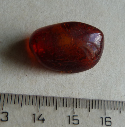 Jantar Polsko Gdaňsk - 2,3 cm
