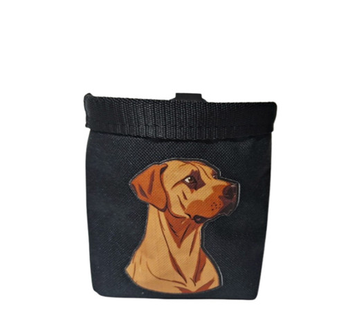 Pamlskovník Rhodesian Ridgeback