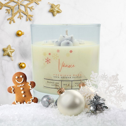 Vánoce, prémiová sójová svíčka (120ml S)