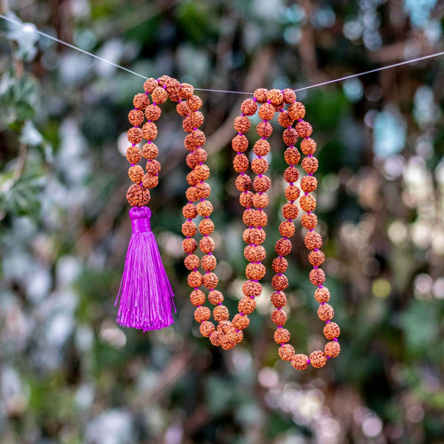 Japa mála - Rudraksha — foto 1