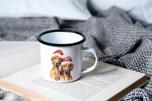Plecháček - ridgeback vánoční — foto 1