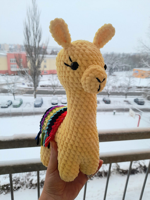Lama — foto 1