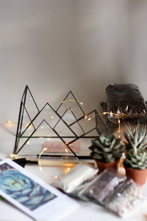 DIY sada + terárium "Alps"