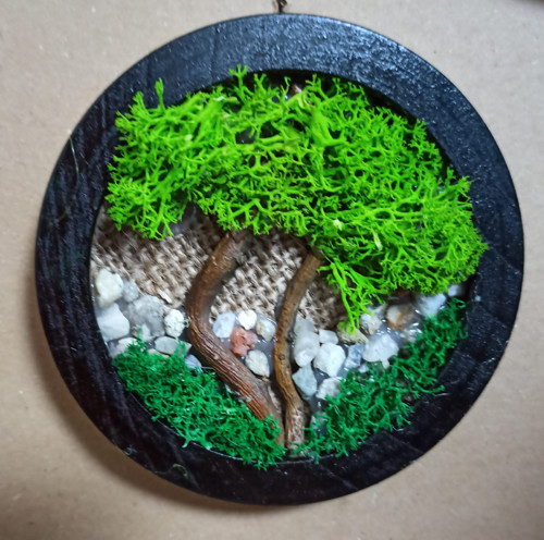 Mechový obrázek kulatý 2 — foto 1