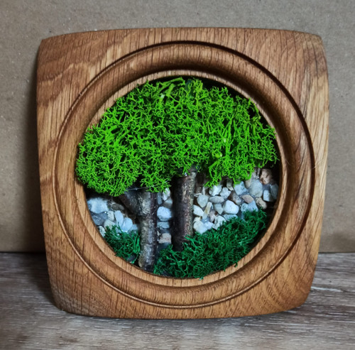 Mechový obrázek - stromy12x12 cm — foto 1