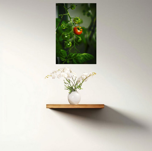 Vítěz - fotoobraz 50x75