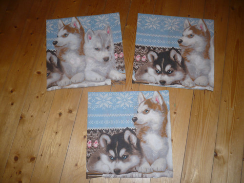 Polštář-povlak na polštář 40x40 cm husky