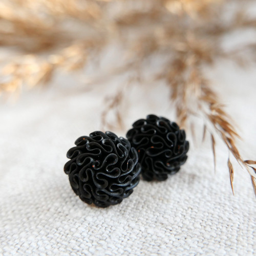 Kvetoucí Black galaxy — foto 1