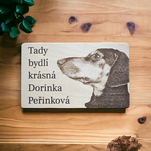 Cedulka / jmenovka na dveře