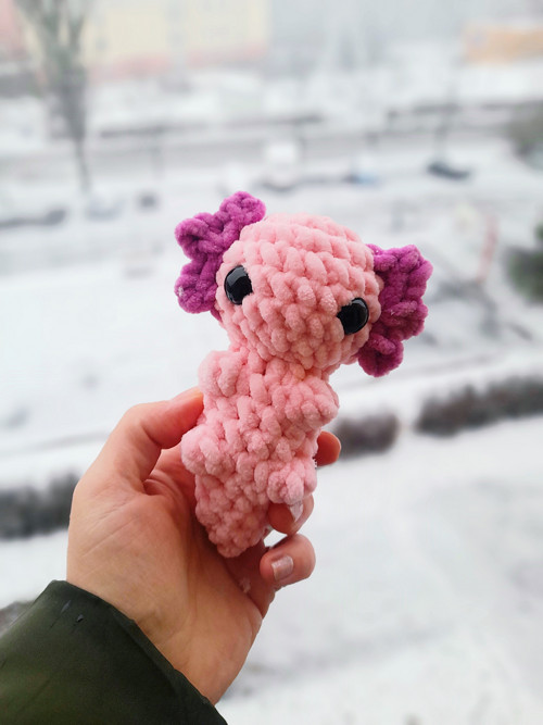 Axolotl PC 152,-
