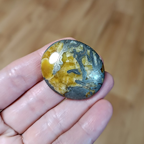 Amonitový Simbircite/Simbircit, ID 3404, 37x31 mm