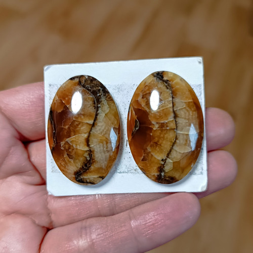 Amonitový Simbircite/Simbircit, ID 3411, 34x23 mm