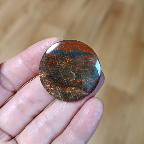 Zkamenělé dřevo, ID 3395, průměr 33 mm