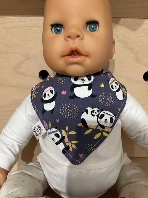 Pandy